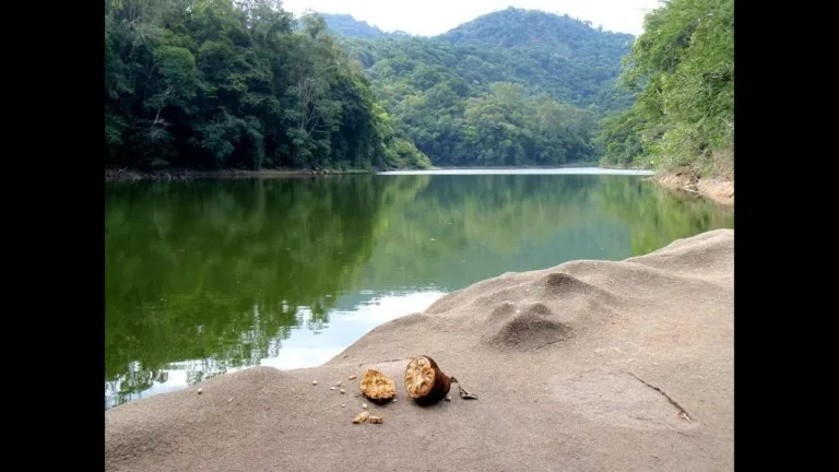 BARRAGEM PODE SE ROMPER A QUALQUER MOMENTO NO RJ!!