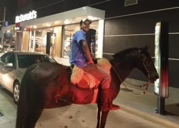 Jovem rouba a cena ao aguardar em fila de drive thru com cavalo