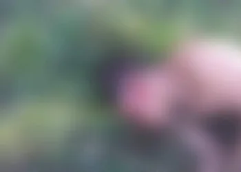 Jovem é morto na zona oeste