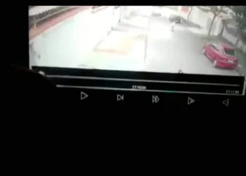 JOVEM SALVA CRIANÇA EM ATAQUE DE PIT BULL NA ZONA OESTE ( VIDEO)