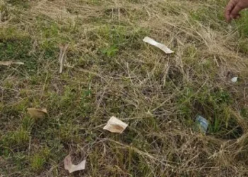 Motorista misterioso joga dinheiro pela janela do carro em rodovia do RJ