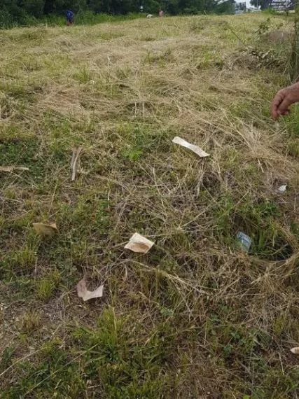 Motorista misterioso joga dinheiro pela janela do carro em rodovia do RJ