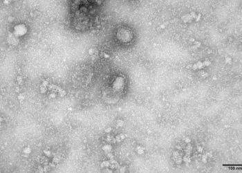 Secretaria de Saúde do Rio descarta caso suspeito de coronavírus