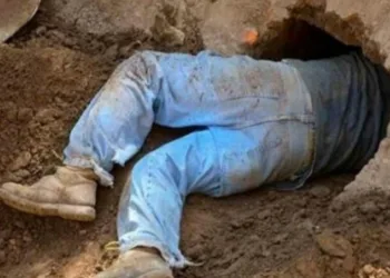 Homem cava túnel de sua casa até ao bar e ia para lá todas as noites enquanto sua esposa dormia