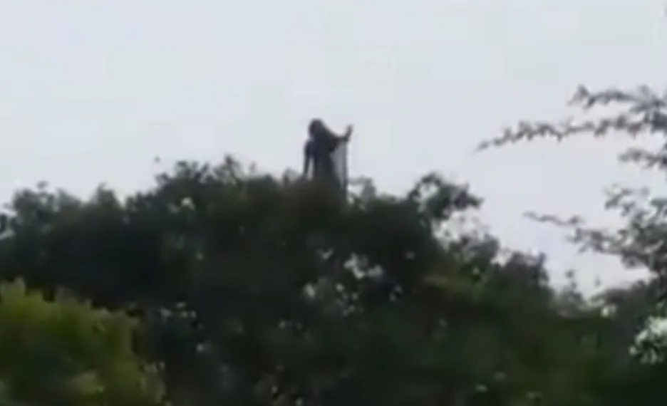Fantasma de mulher? Lobisomem? Entenda a “aparição” em vídeo que está aterrorizando os grupos de WhatsApp
