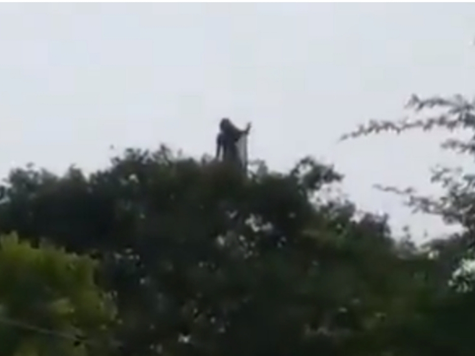 Fantasma de mulher? Lobisomem? Entenda a “aparição” em vídeo que está aterrorizando os grupos de WhatsApp