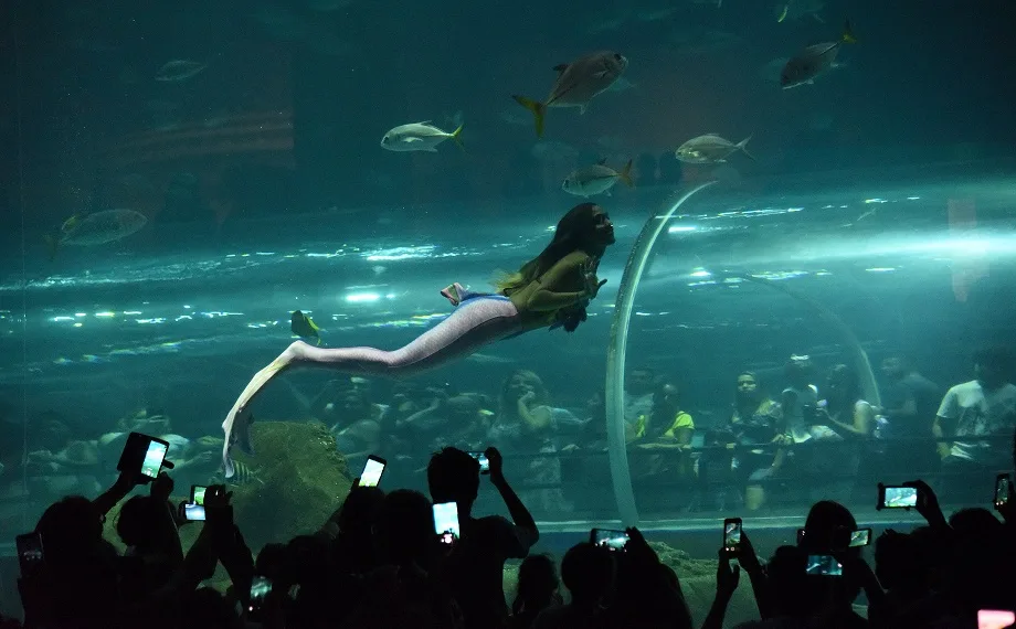 AquaRio realiza Surf Week