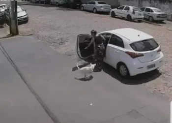 MULHER ABANDONA CÃO DEFICIENTE NO MEIO DA RUA(VIDEO)