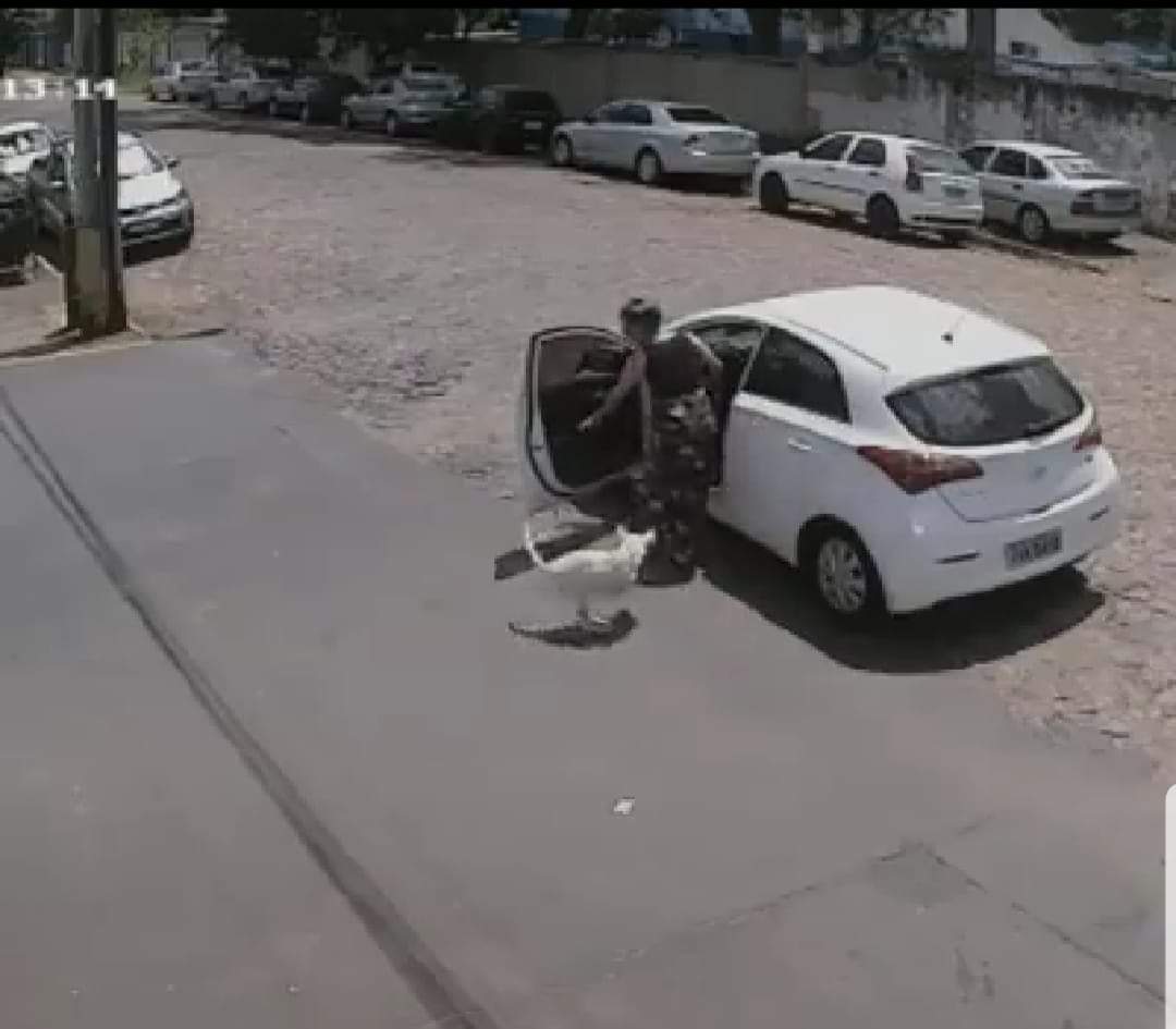 MULHER ABANDONA CÃO DEFICIENTE NO MEIO DA RUA(VIDEO)