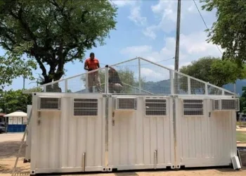 ATENDIMENTO VETERINÁRIO GRATUITO NA ZONA OESTE