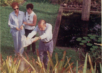 CINZAS DE RENATO RUSSO EM BARRA BARRA DE GUARATIBA