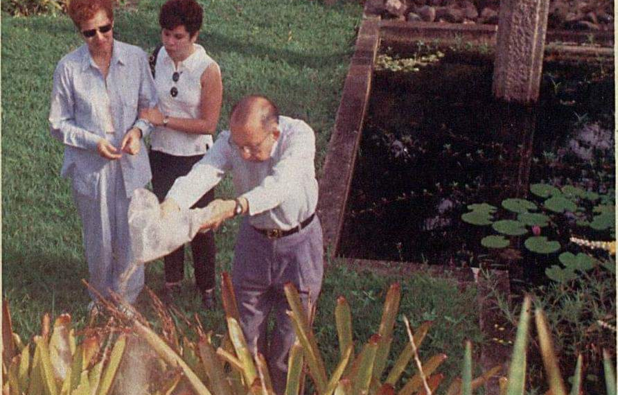 CINZAS DE RENATO RUSSO EM BARRA BARRA DE GUARATIBA