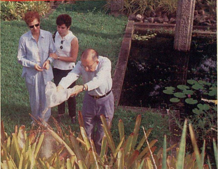 CINZAS DE RENATO RUSSO EM BARRA BARRA DE GUARATIBA