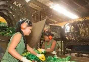 Guaraná não será mais vendido em embalagens plasticas.