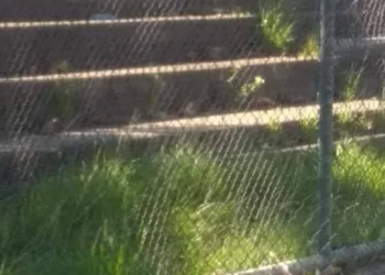 Praça abandonada em Campo Grande revolta moradora!!