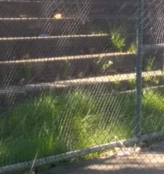 Praça abandonada em Campo Grande revolta moradora!!