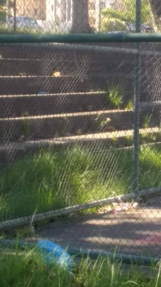 Praça abandonada em Campo Grande revolta moradora!!