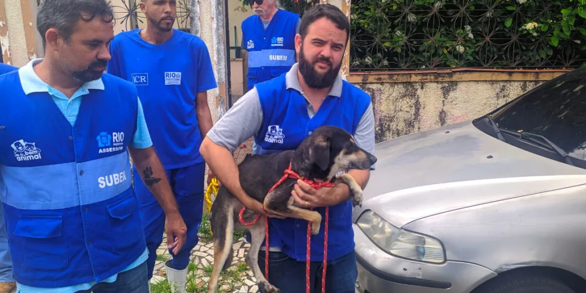 Prefeitura resgata seis cães que viviam em condições precárias numa casa em Inhaúma