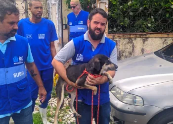 Prefeitura resgata seis cães que viviam em condições precárias numa casa em Inhaúma