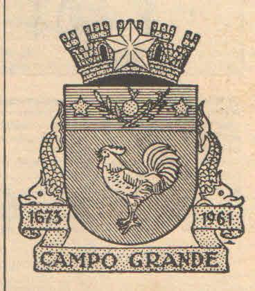 OS SÍMBOLOS DA CIDADE DO RIO DE JANEIRO E A POLÊMICA ENVOLVENDO O BRASÃO DE CAMPO GRANDE