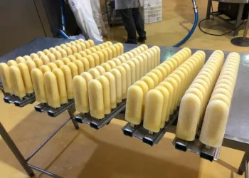 Picolé de cerveja é aposta para carnaval