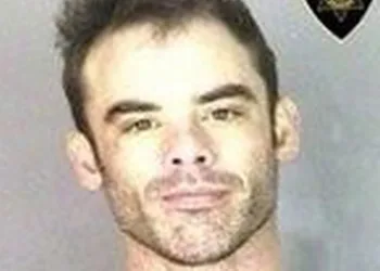 Homem enfrenta 15 policiais com uma mão e se masturba com a outra
