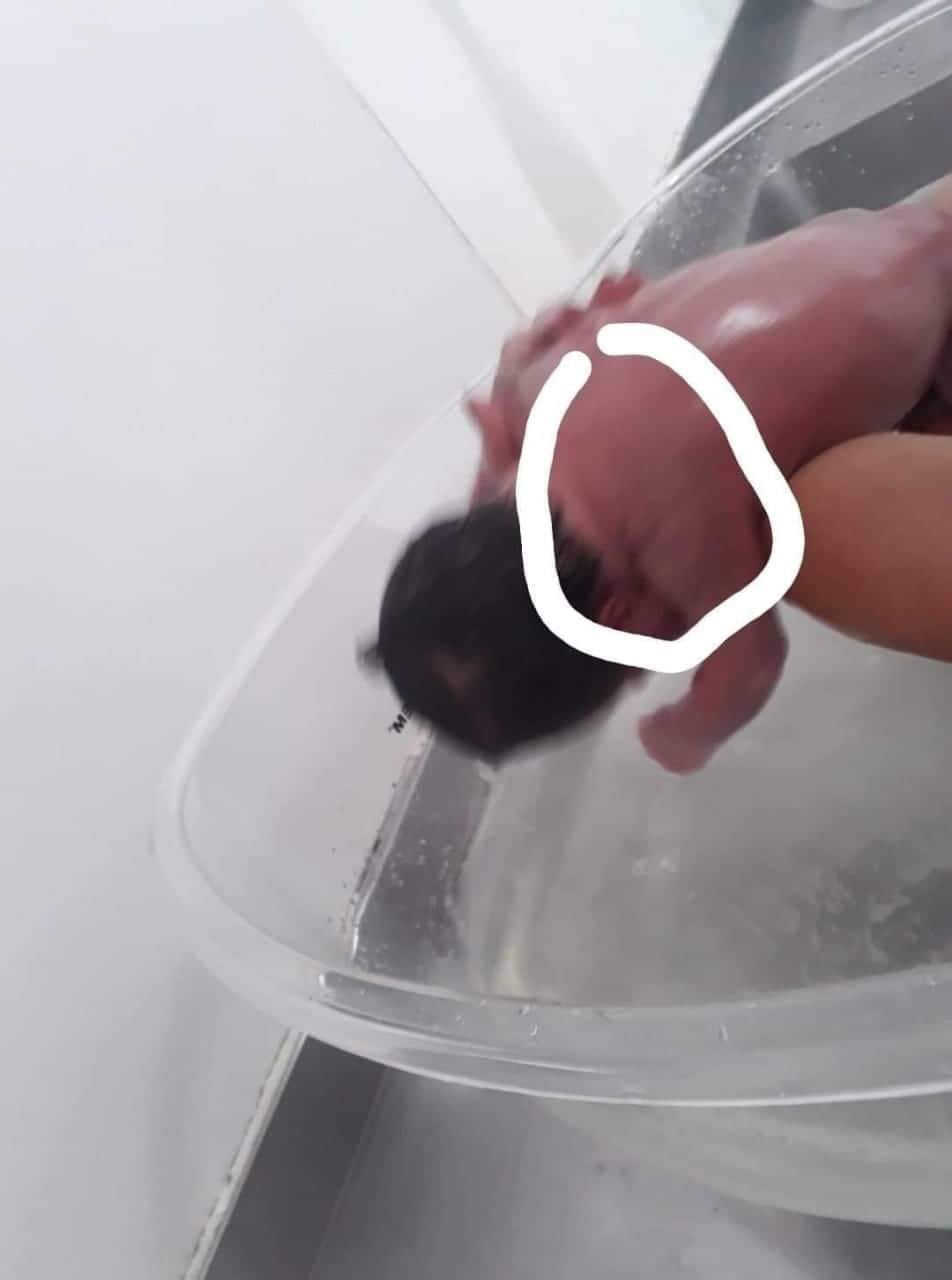 HOSPITAL ROCHA FARIA ESCLARECE  DENÚNCIA DE PACIENTE EM CAMPO GRANDE