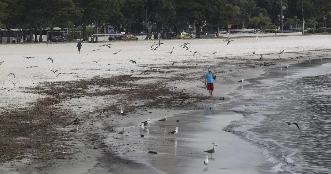 Muitas praias do Rio de Janeiro estão impróprias para o banho