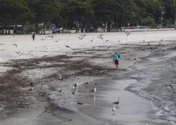 Muitas praias do Rio de Janeiro estão impróprias para o banho
