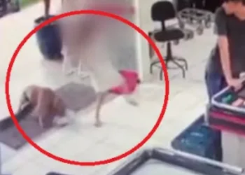Vídeo mostra momento que criança é perseguida e atacada por pit-bull dentro de mercado