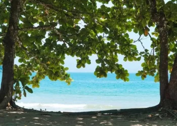 Praia do Sono na Costa Verde!! Um paraíso abalado por uma tragédia