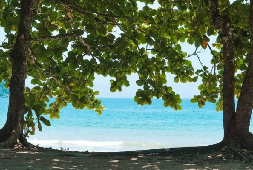 Praia do Sono na Costa Verde!! Um paraíso abalado por uma tragédia