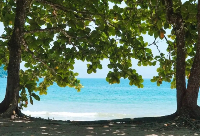 Praia do Sono na Costa Verde!! Um paraíso abalado por uma tragédia