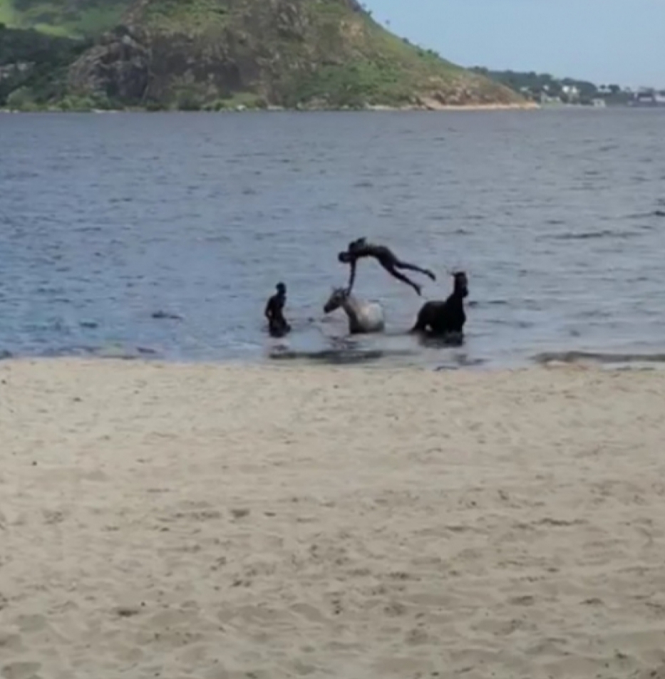 Cavalos são vistos se banhando  em praia do Rio