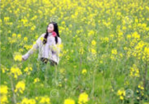 Deus é especialista em reviravoltas e fazer tudo novo