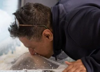 Vida de Gugu está mais exposta que frango de padaria