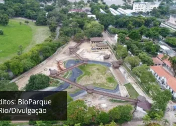 Zoológico do Rio de Janeiro se transforma em BioParque sem jaulas