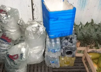 Vigilância Sanitária inspeciona fábricas e distribuidoras de gelo do Rio