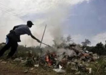 Colocar fogo em lixo ou no quintal de casa é crime e pode levar à prisão