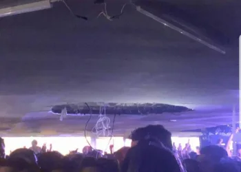 Teto de  camarote desaba na Sapucaí  e machuca pessoas