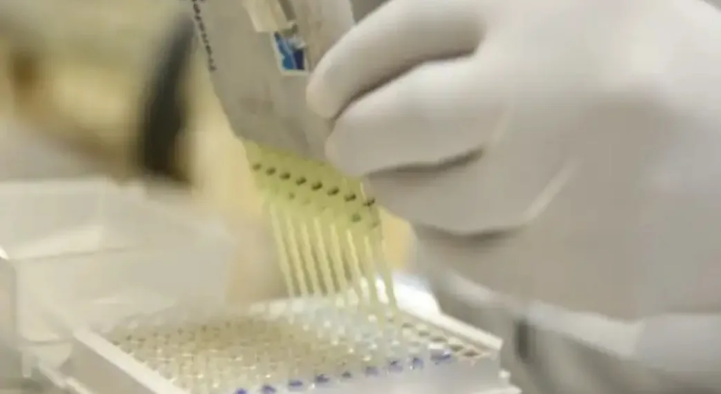 Governo do Rio diz tem plano de contingência para coronavírus