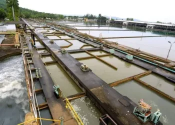 CEDAE PODE DAR DESCONTO EM CONTA A CONSUMIDOR POR CONTA DA MÁ QUALIDADE DA ÁGUA