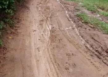 Morro dos cablocos em Campo Grande pede socorro!!