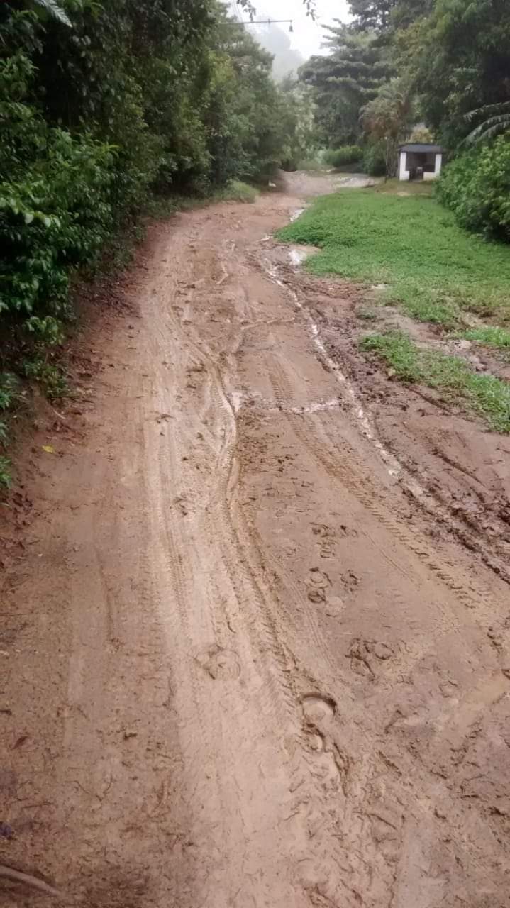 Morro dos cablocos em Campo Grande pede socorro!!