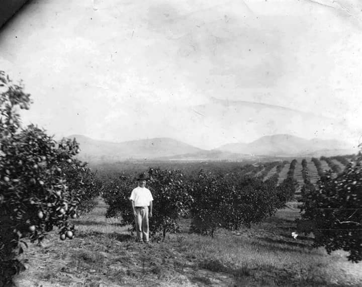 Campo Grande além das laranjas..