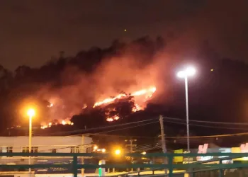 Incêndio preocupa moradores em Campo Grande