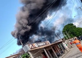 Loja de descartáveis pega fogo em Santa Cruz