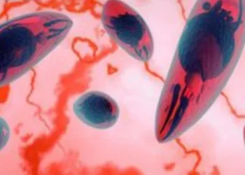 SUS oferecerá a recém-nascidos exame para toxoplasmose