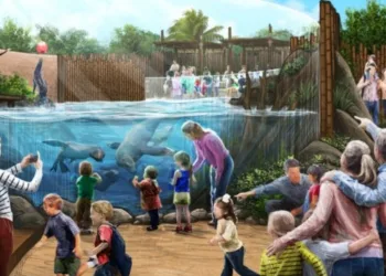Grupo Cataratas, responsável pelo Novo Zoo, abre oportunidades no Rio