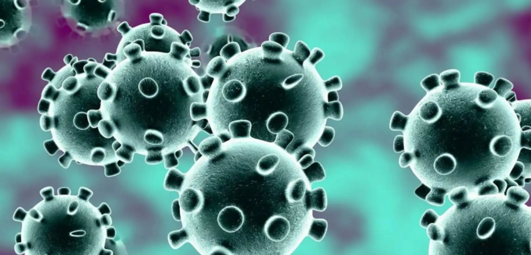 Operadoras de TV por assinatura liberam canais e internet para que população se mantenha em casa